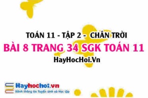 Bài 8 trang 34 Toán 11 tập 2 Chân trời sáng tạo